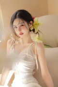 <b>2轻量版曲拆--大西北网</b>
